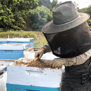 Bienenbehandlung
