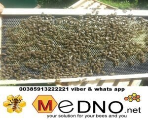 Plastična / PVC satna osnova LR-DB od PREHRAMBENE PLASTIKE - Polypropylene (PP)TERMO OTPORNA do 70°C – Bild 10