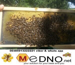 Plastična / PVC satna osnova LR-DB od PREHRAMBENE PLASTIKE - Polypropylene (PP)TERMO OTPORNA do 70°C – Bild 14