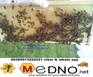 Plastična / PVC satna osnova LR-DB od PREHRAMBENE PLASTIKE - Polypropylene (PP)TERMO OTPORNA do 70°C – Bild 17