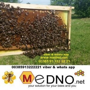 Plastična / PVC satna osnova LR-DB od PREHRAMBENE PLASTIKE - Polypropylene (PP)TERMO OTPORNA do 70°C – Bild 19