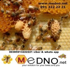 Plastična / PVC satna osnova LR-DB od PREHRAMBENE PLASTIKE - Polypropylene (PP)TERMO OTPORNA do 70°C – Bild 6